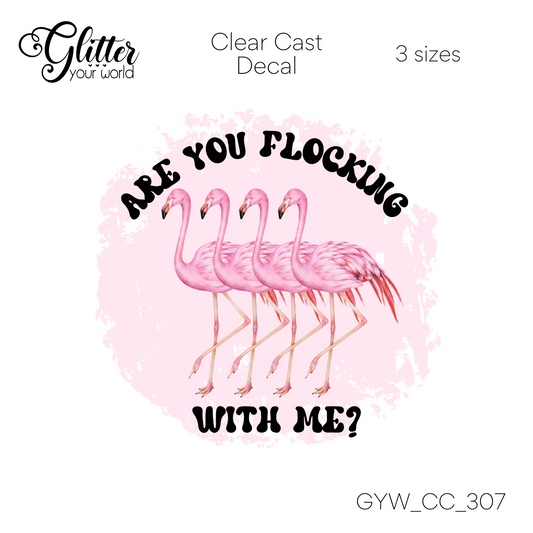 Are You Flocking With Me CC_307 Clear Cast Decal